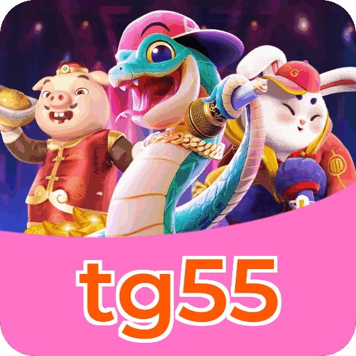 Interface tg55